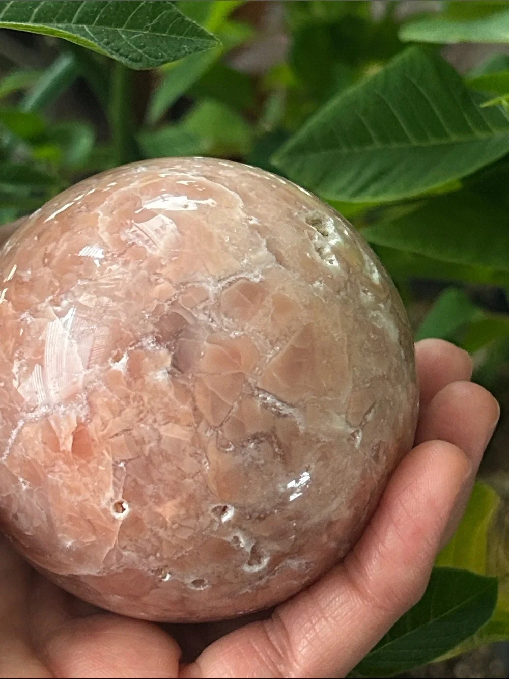 N/A smooth peach